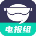 电报组