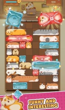 Cats Safe: Sliding Puzzle