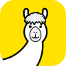 开拍app