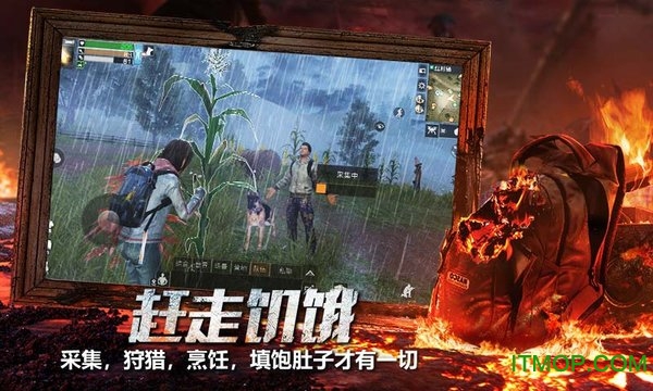 明日之后2345手机助手版