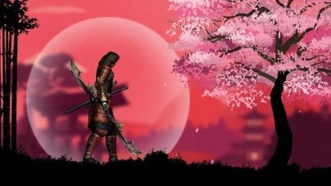 武士大冒险:杀死忍者 武士大冒险:杀死忍者