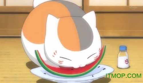 ninebeta二次元社区