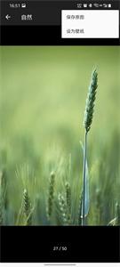 随手拍壁纸 随手拍壁纸