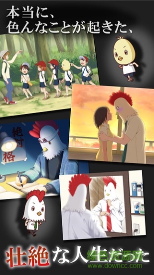 作为鸟而生的男人有着那样壮烈的人生 作为鸟而生的男人有着那样壮烈的人生