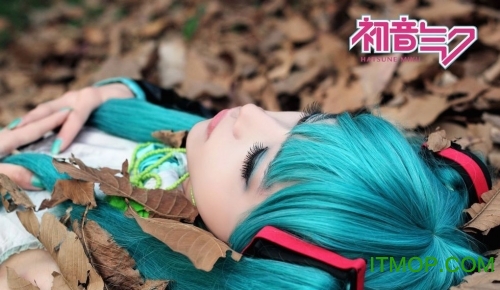 ninebeta二次元社区