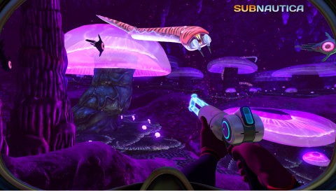 Underwater Survival
