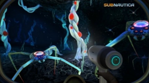 Underwater Survival Underwater Survival