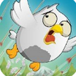 Bird vs Bows
