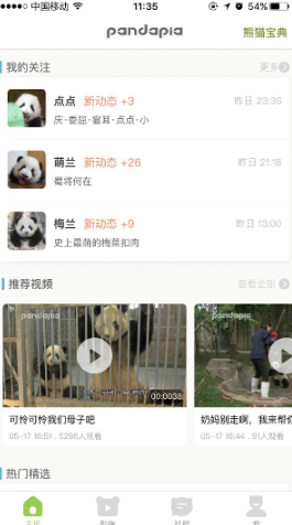 pandapia熊猫派