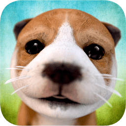 狗狗模拟器中文破解版(Dogsimulator)