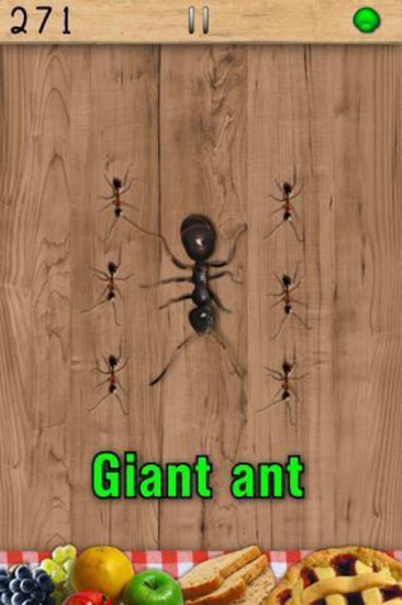 捏死蚂蚁(Ant Smasher) 捏死蚂蚁(Ant Smasher)