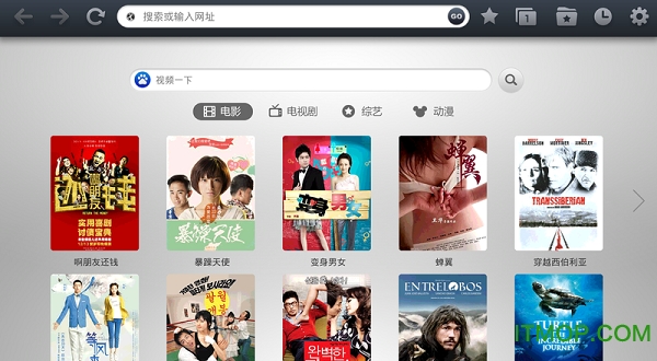 飞视浏览器电视版