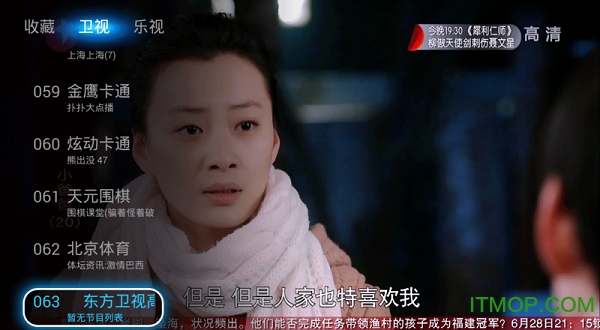 飞视浏览器电视版