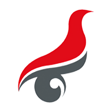 学信网app(CHSIAPP)