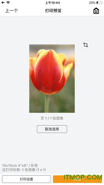 Canon PRINT Inkjet/SELPHY苹果版(佳能喷墨打印机app)