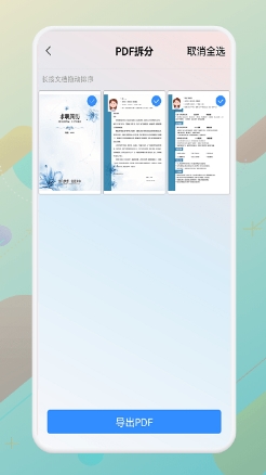 一站式PDF转换器