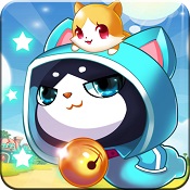 天天跑酷最新宠物