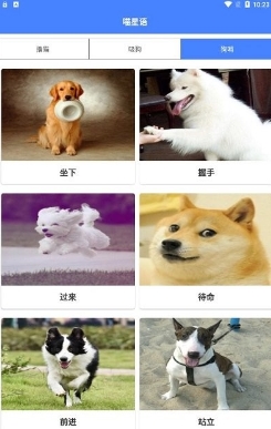 萌趣猫狗翻译器