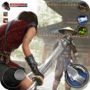 Ninja Ryoku安装器