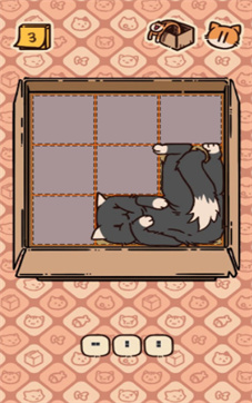 猫和盒子官方版app