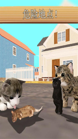 猫咪模拟器全道具解锁版