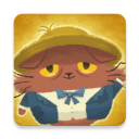 Starry Whiskers安装器