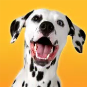 达尔马提亚狗模拟Dalmatian Dog Simulator