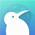kiwi browser浏览器