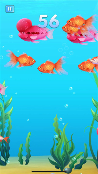 海洋霸主进化记