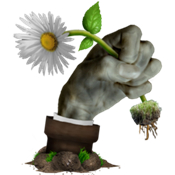 乐pad写实版植物大战僵尸