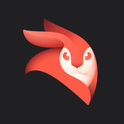 EnlightPhotofox Videoleap软件