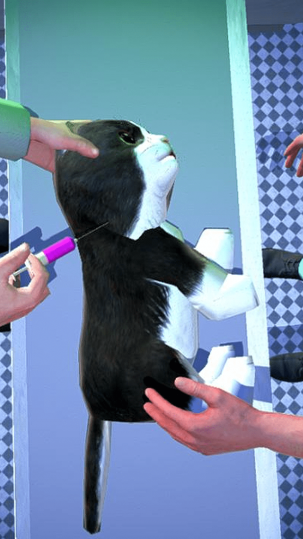 动物外科医院 动物外科医院