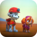 汪汪队益智记忆