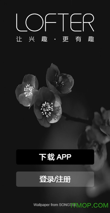 网易lofter网页版手机登录 网易lofter网页版手机登录