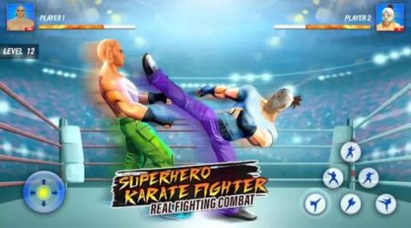 超级英雄卡拉特战士Superhero Karaty Fighter