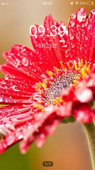 轻甜心app 轻甜心app