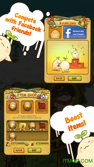 拔拔蔓陀萝mandora