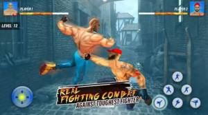 超级英雄卡拉特战士Superhero Karaty Fighter 超级英雄卡拉特战士Superhero Karaty Fighter