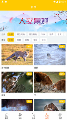 智游大草原 智游大草原