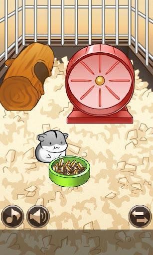 小仓鼠的生活Hamster Life