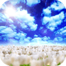 Blue Skies Free蓝天白云视频动态墙纸官方下载