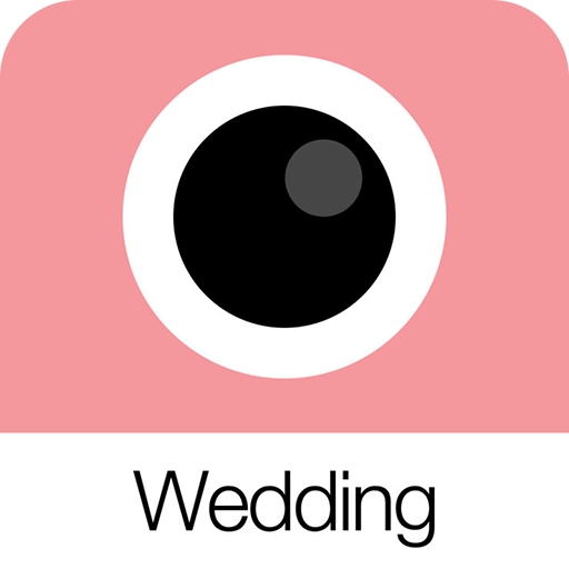 Analog Wedding (模拟婚礼)