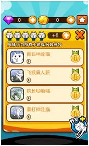 神经猫的日常 神经猫的日常