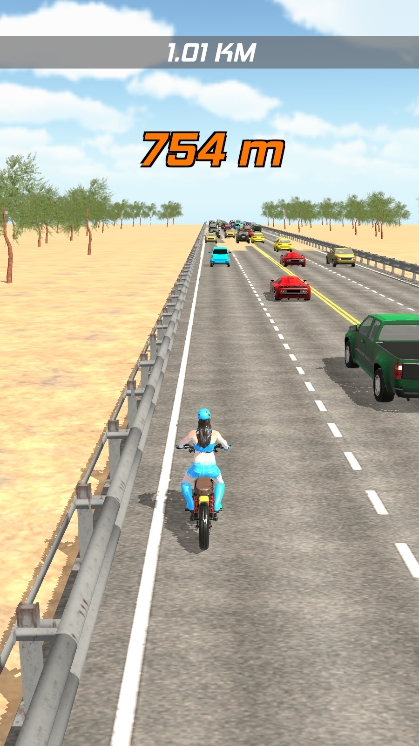自行车公路赛车手免费版（Bike Highway Racer）