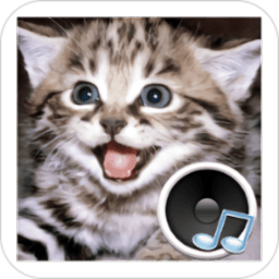 动物的声音app