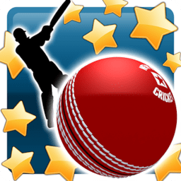 新星板球游戏(New Star Cricket)