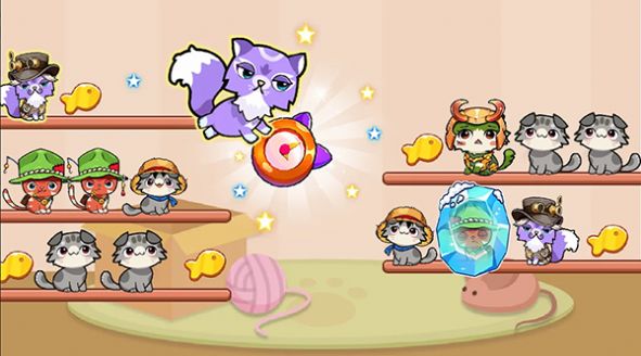 猫猫排序(Cat Sort)