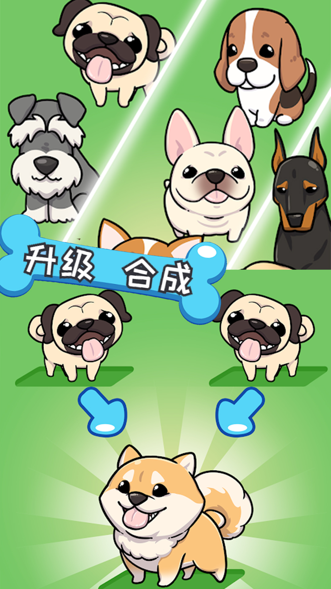 哈士奇萌宠屋 哈士奇萌宠屋