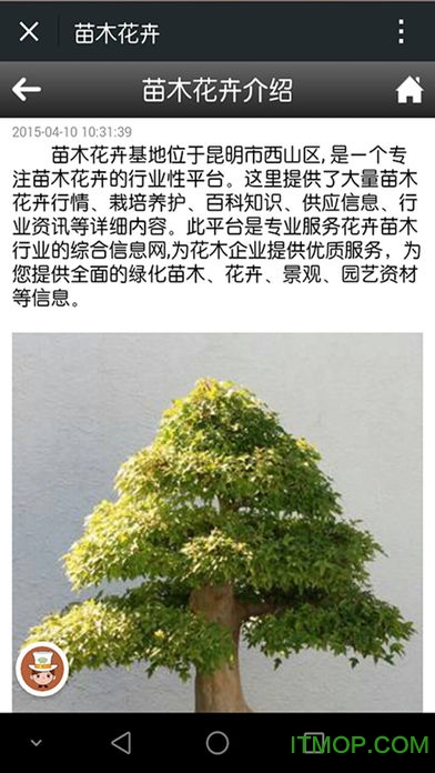 中国苗木行业平台