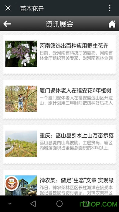 中国苗木行业平台 中国苗木行业平台